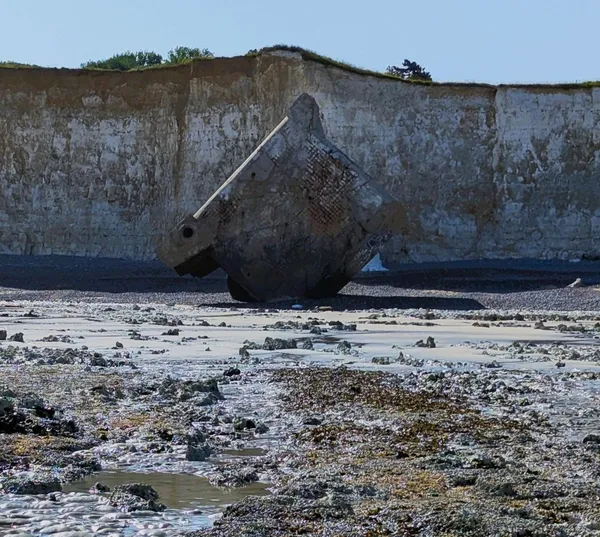 [Balade nature] Le littoral à marée basse