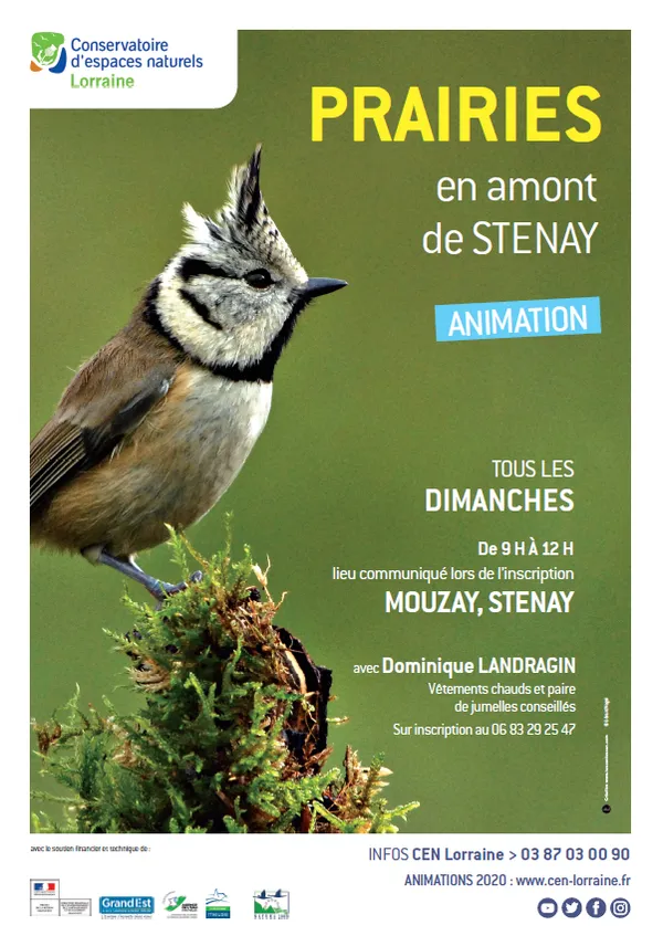 Balade naturaliste et ornithologique