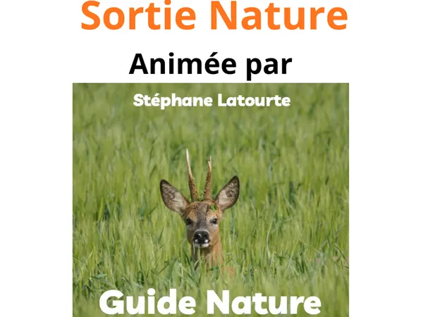 Sortie nature
