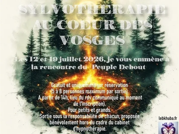 Sortie sylvothérapie au cœur des Vosges