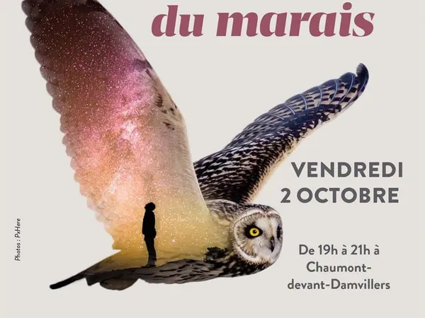 Vie nocturne au marais