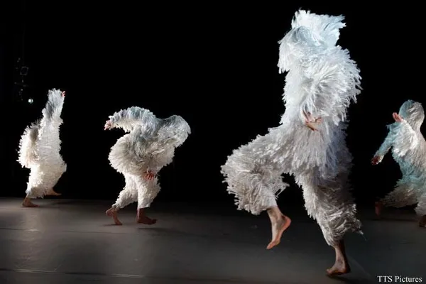 Danse - A4 (comme la feuille)