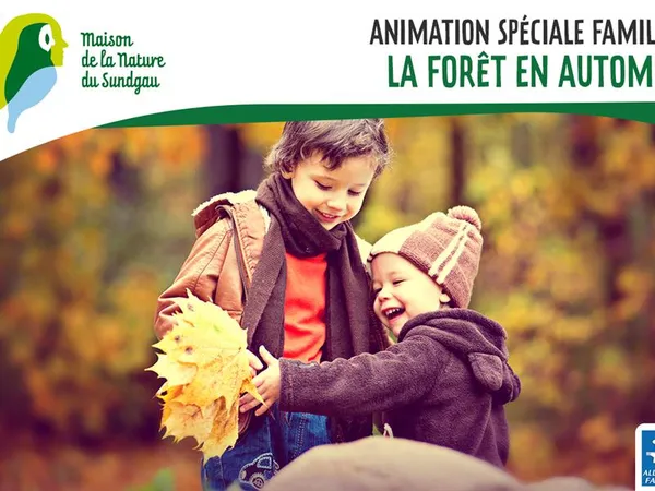 Animation spéciale familles - La forêt en automne - Dès 5 ans