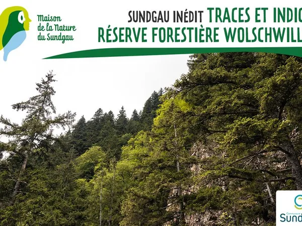 Traces et indices - Réserve forestière Wolschwiller