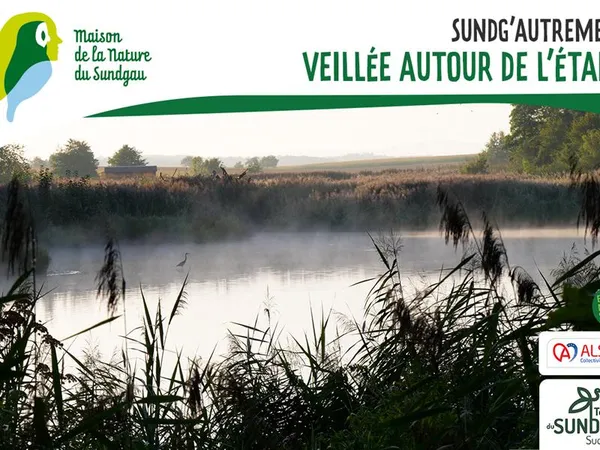 Veillée autour de l'étang