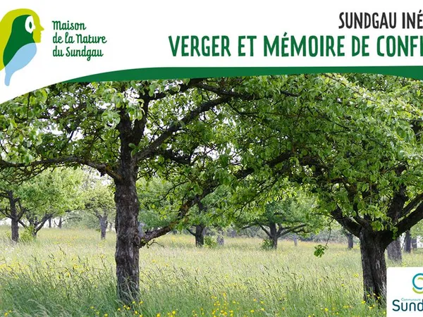 Verger et mémoire de conflit à Wittersdorf