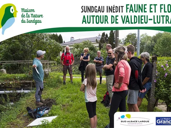 Sur les traces du hérisson à Valdieu-Lutran