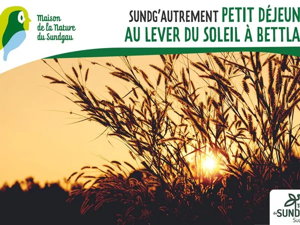 Petit-déjeuner au lever du soleil à Bettlach