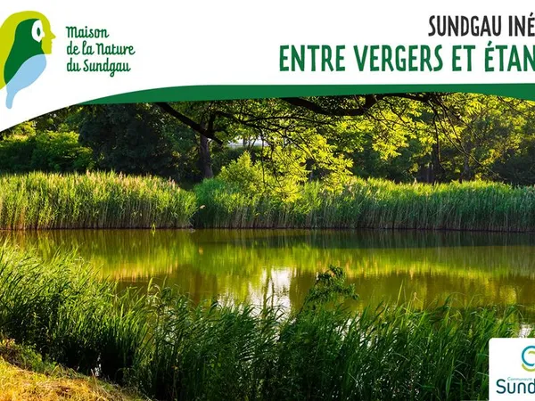 Sundgau inédit -Entre vergers et étangs -À partir de 8 ans
