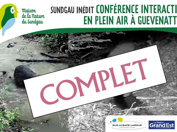 Conférence interactive à la découverte des rapaces nocturnes à Romagny
