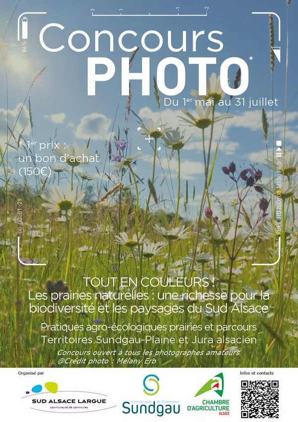 Prairies fleuries: Concours photos
