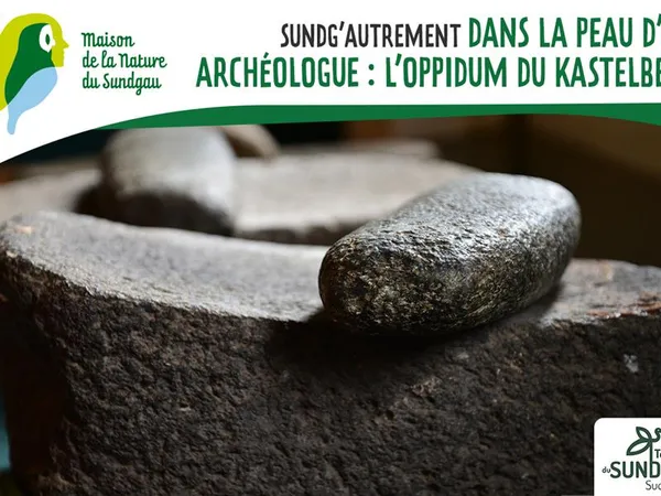 Dans la peau d'un archéologue - L'oppidum du Kastelberg