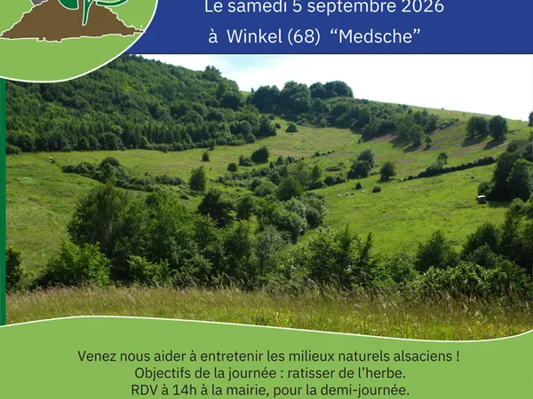 Chantier nature participatif