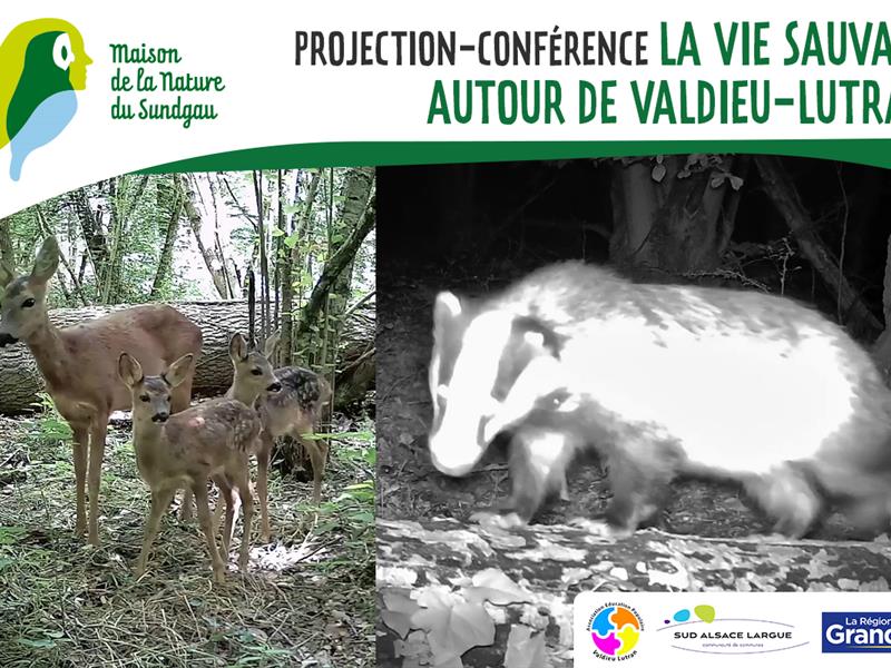 Projection - conférence : La vie sauvage autour de Valdieu-Lutran