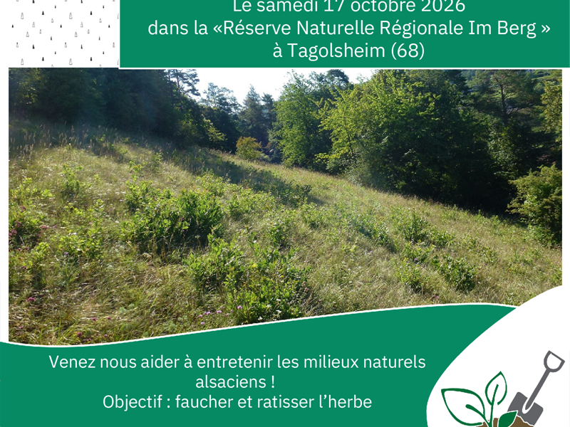 Chantier Nature Participatif