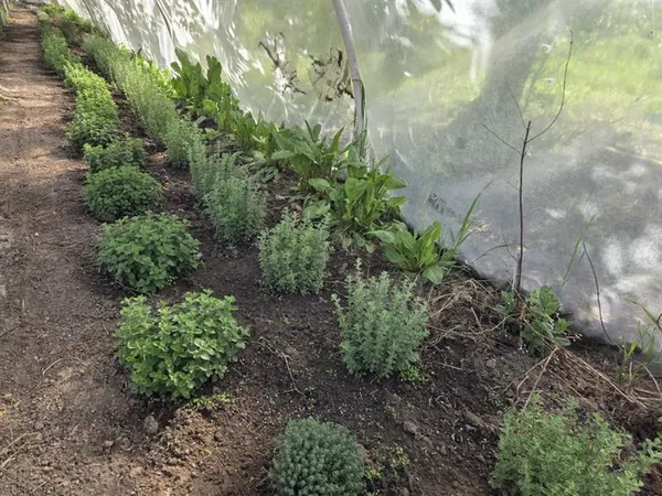 Ferme Obrecht : Atelier Saveurs & Senteurs