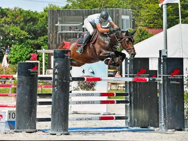 Concours de sauts d'obstacles
