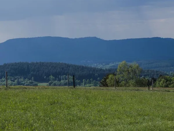 Sentiers Plaisir : Le Champ du Feu, un joyau de la nature