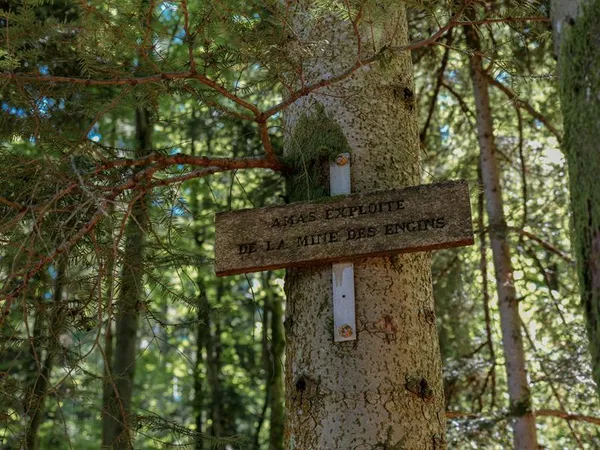 Sentiers Plaisir : Framont-Grandfontaine, la ruée vers le fer
