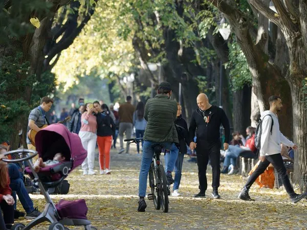 Cirk'en Rue