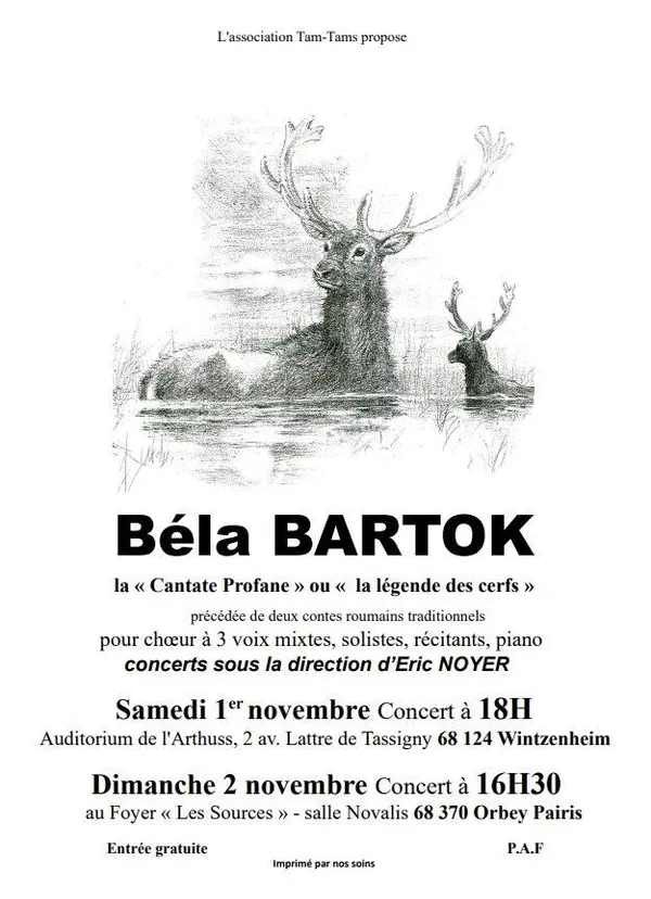 Concert - Béla Bartok