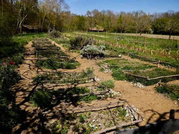 Rendez-vous nature : À la découverte de la nature
