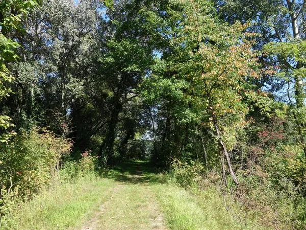 Balade découverte de l'île de Marckolsheim