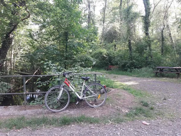 Balade à vélo entre Ried et Rhin