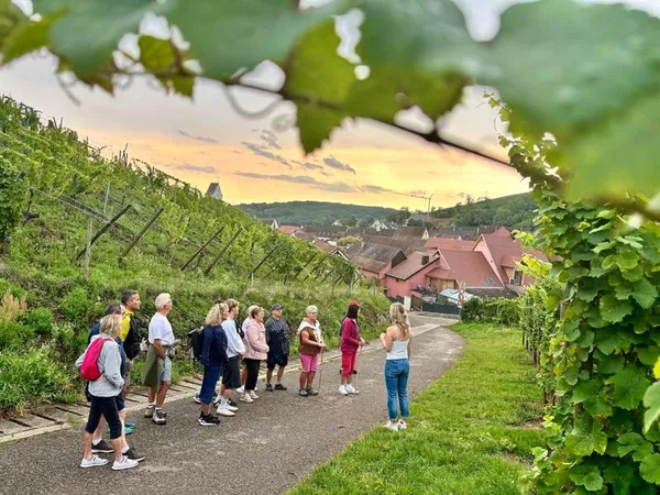 De la vigne au verre - secret du vin d'Alsace