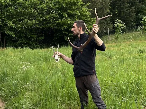 Balade nature : les secrets de la forêt autour de La Petite Pierre