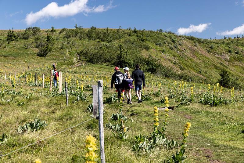 Balade pastorale : la balade du Christlesgut