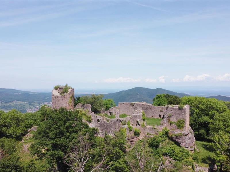Exposition commentée : cinq châteaux, une vallée