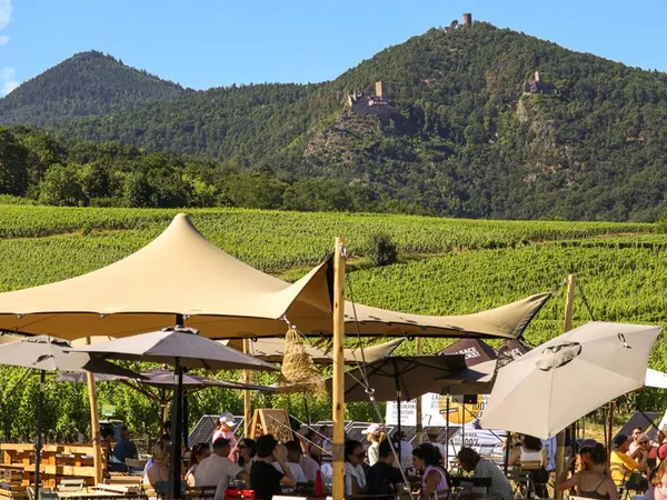 ALSACE ROCKS ! La Tournée des Terroirs - Etape #8