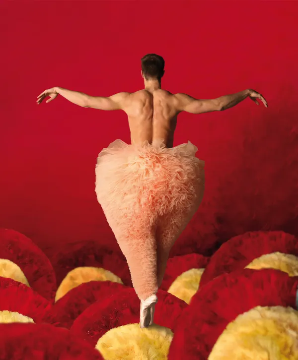 TUTU