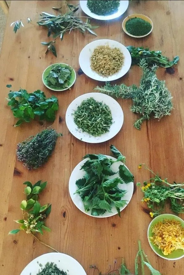 Atelier "Prendre soin de soi avec les plantes : initiation à la fabrication de macérats et d’alcoolatures"