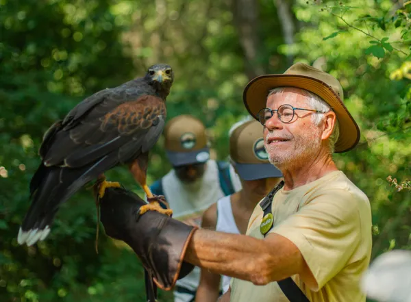 Balade en compagnie d'un rapace