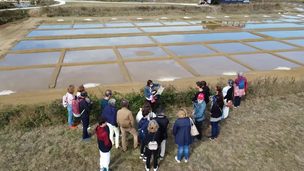 Visite commentée du marais salant du Port des Salines