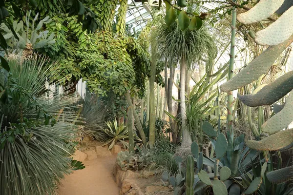 A la découverte du Jardin Botanique de Lyon