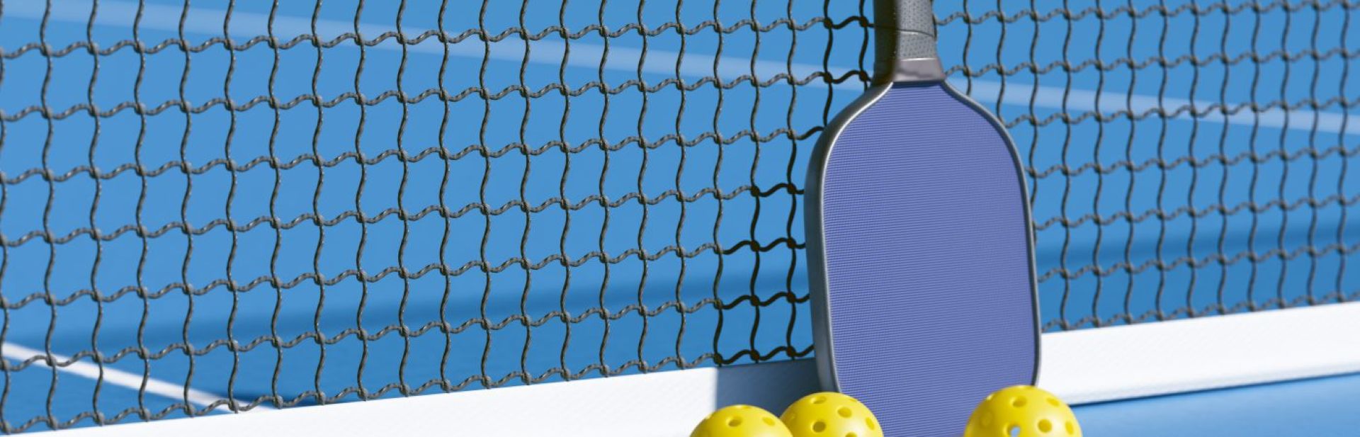 Initiation Pickleball & Disc Golf