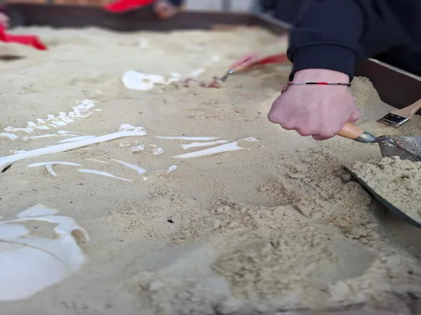 Atelier fouilles archéologiques