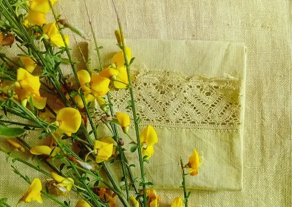 Atelier de teinture végétale