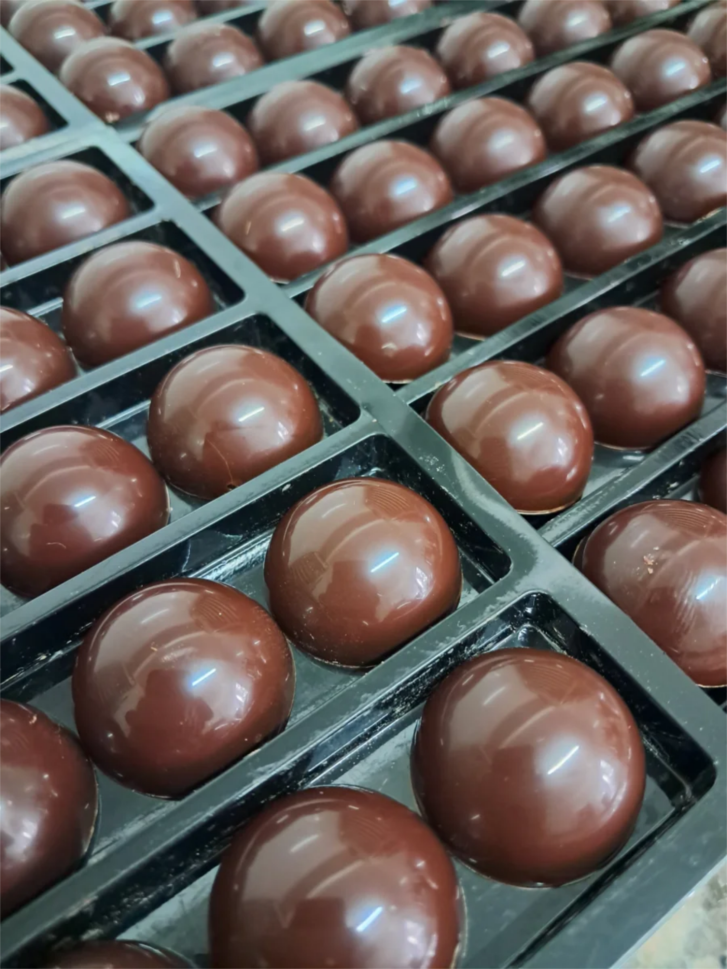 Atelier bonbons pralinés