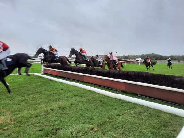 Hippodrome Angoulême Hennessy - Courses hippiques