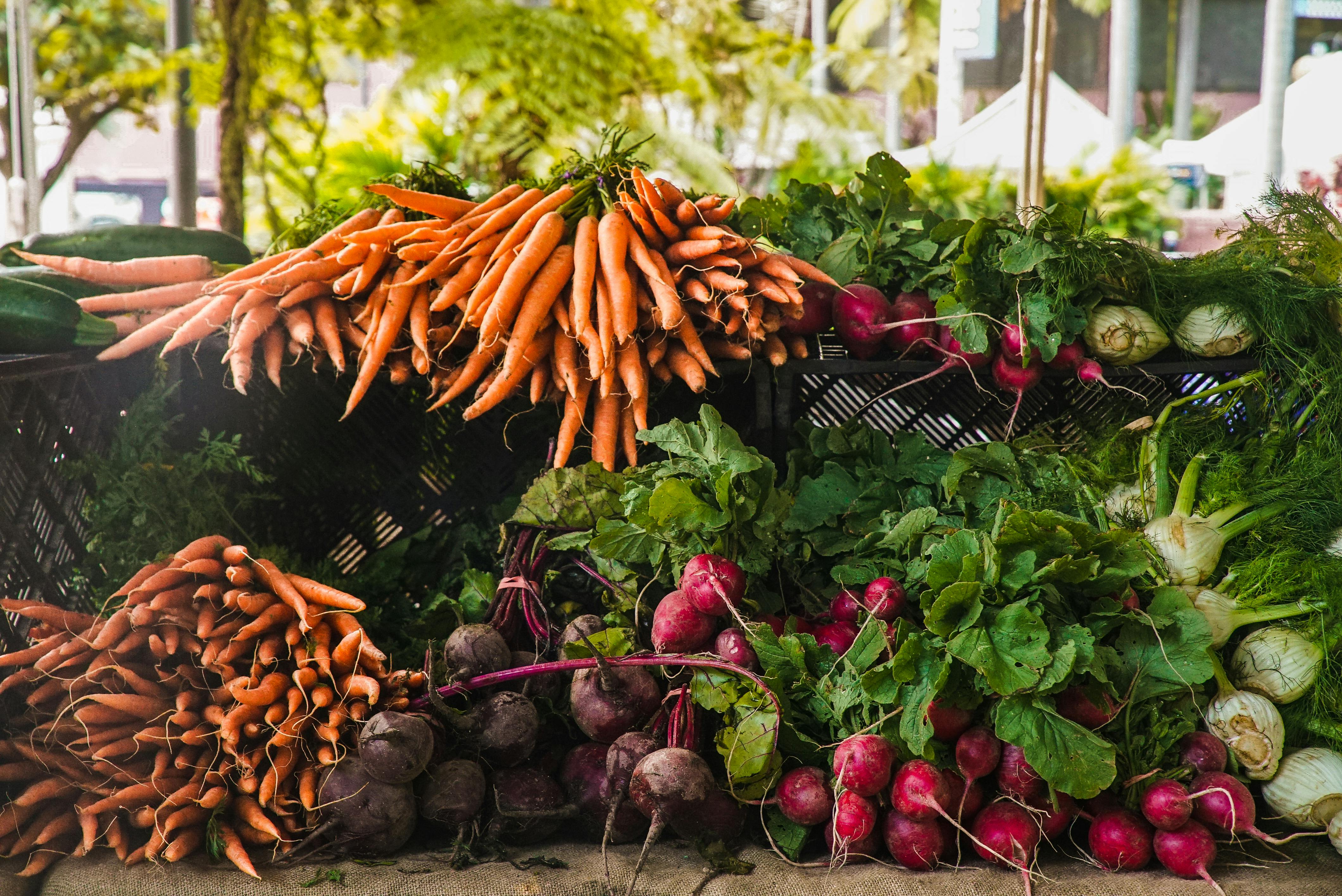 Guinguette fermière : Marché de producteurs et concerts