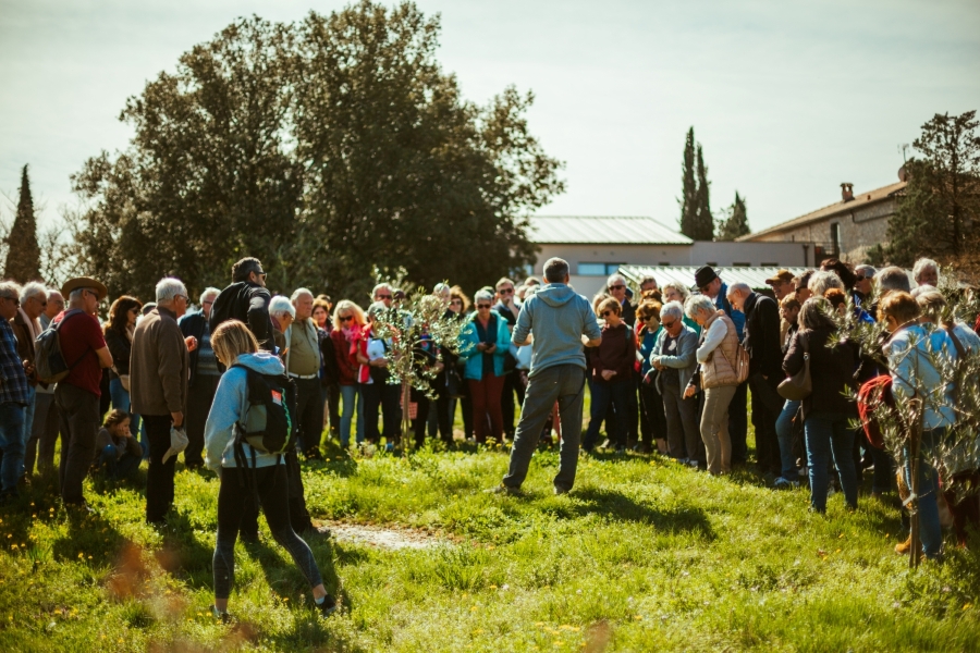 Fête du printemps 2026  : Une journée au jardin 