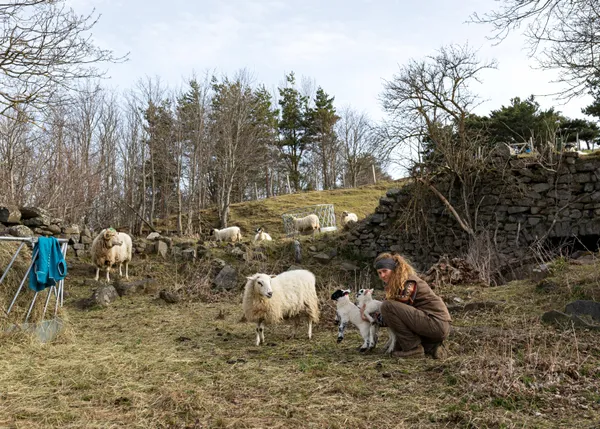 Exposition « sur un Plateau » de Lena Durr