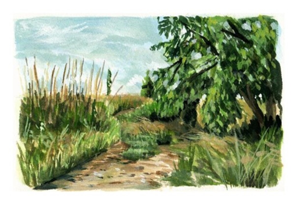 Carnet de nature : croquer le paysage