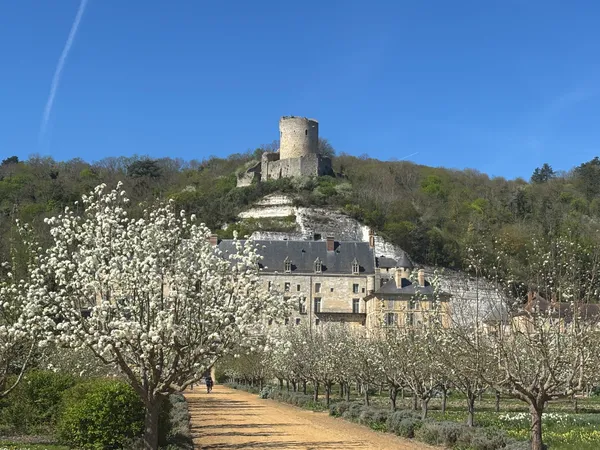 Vexin millénaire