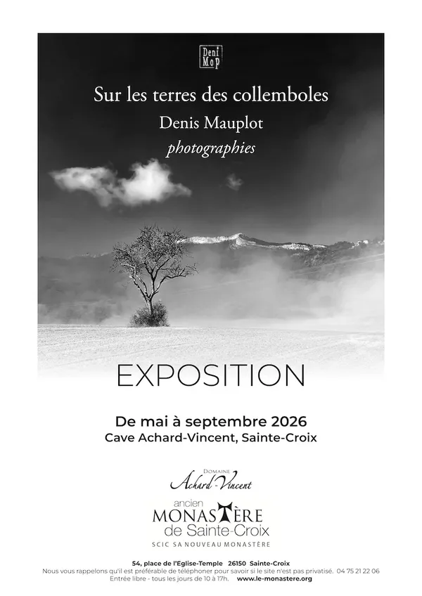 Exposition - Sur les terres des collemboles
