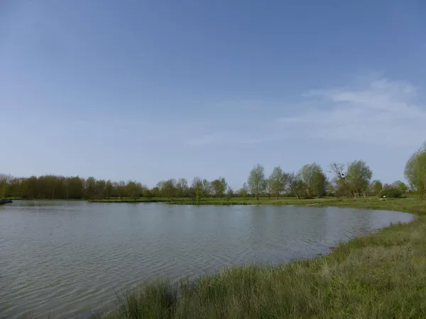 Balade nature : richesses d'un étang